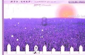 haha体育平台