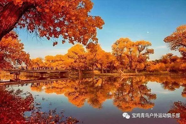 上司总是故意找茬刁难人，怎么办？