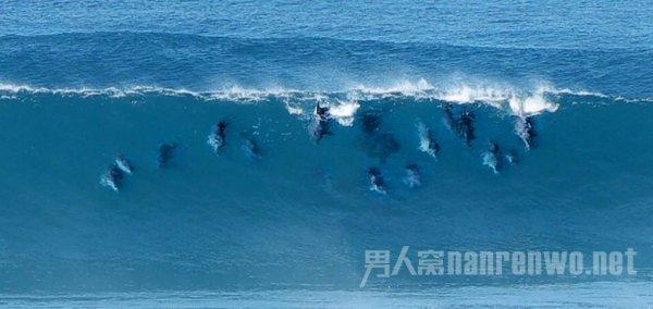 探索知识星球wps制作海报背面怎么设置图片？，汲取知识的乐园